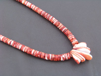 Coral & Shell
